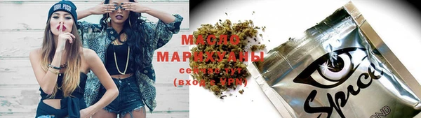хмурый Аркадак
