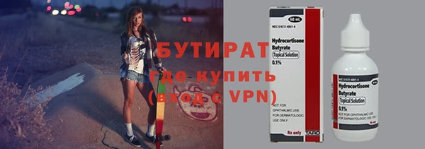 хмурый Аркадак