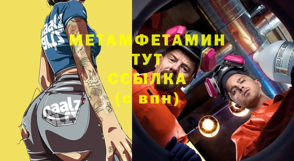 хмурый Аркадак