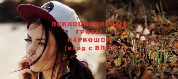 ECSTASY Алексеевка