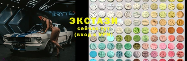 хмурый Аркадак