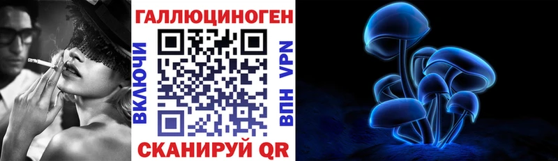 Псилоцибиновые грибы Psilocybe  кракен как войти  Заполярный 